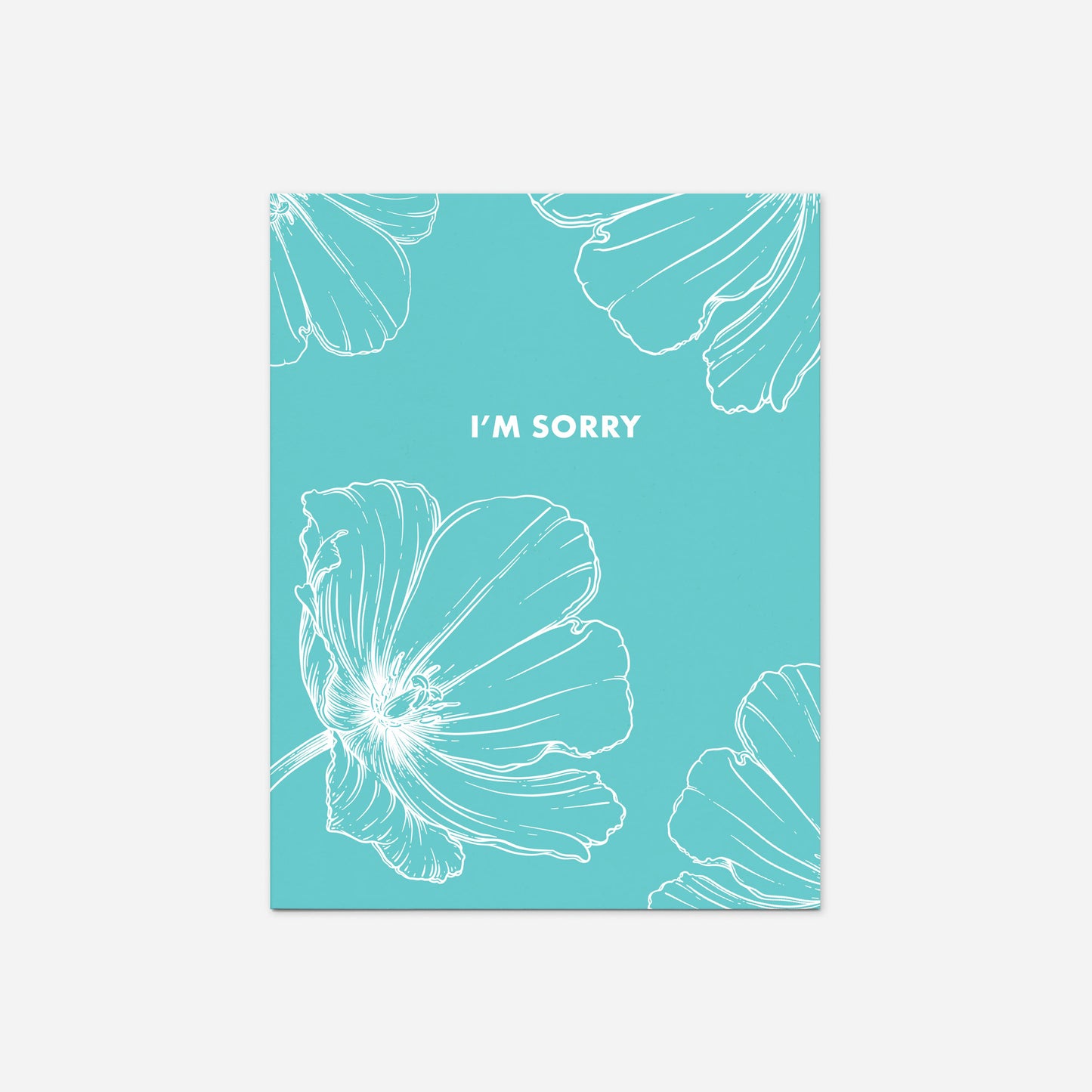 Set of 8 "I'm Sorry" Greeting Cards
