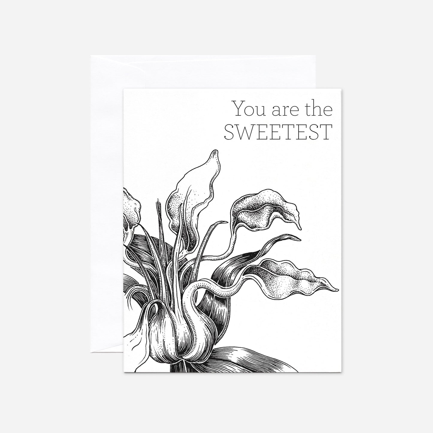 Set of 8 "You Are The Sweetest" Greeting Cards