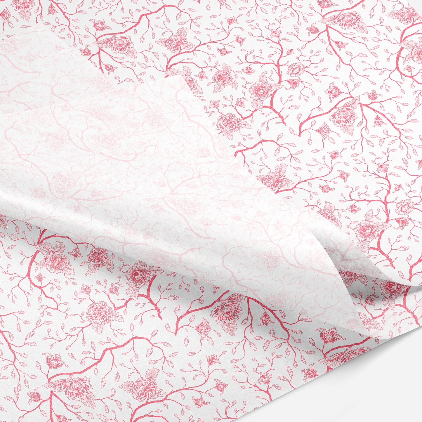 Cherry Blossom