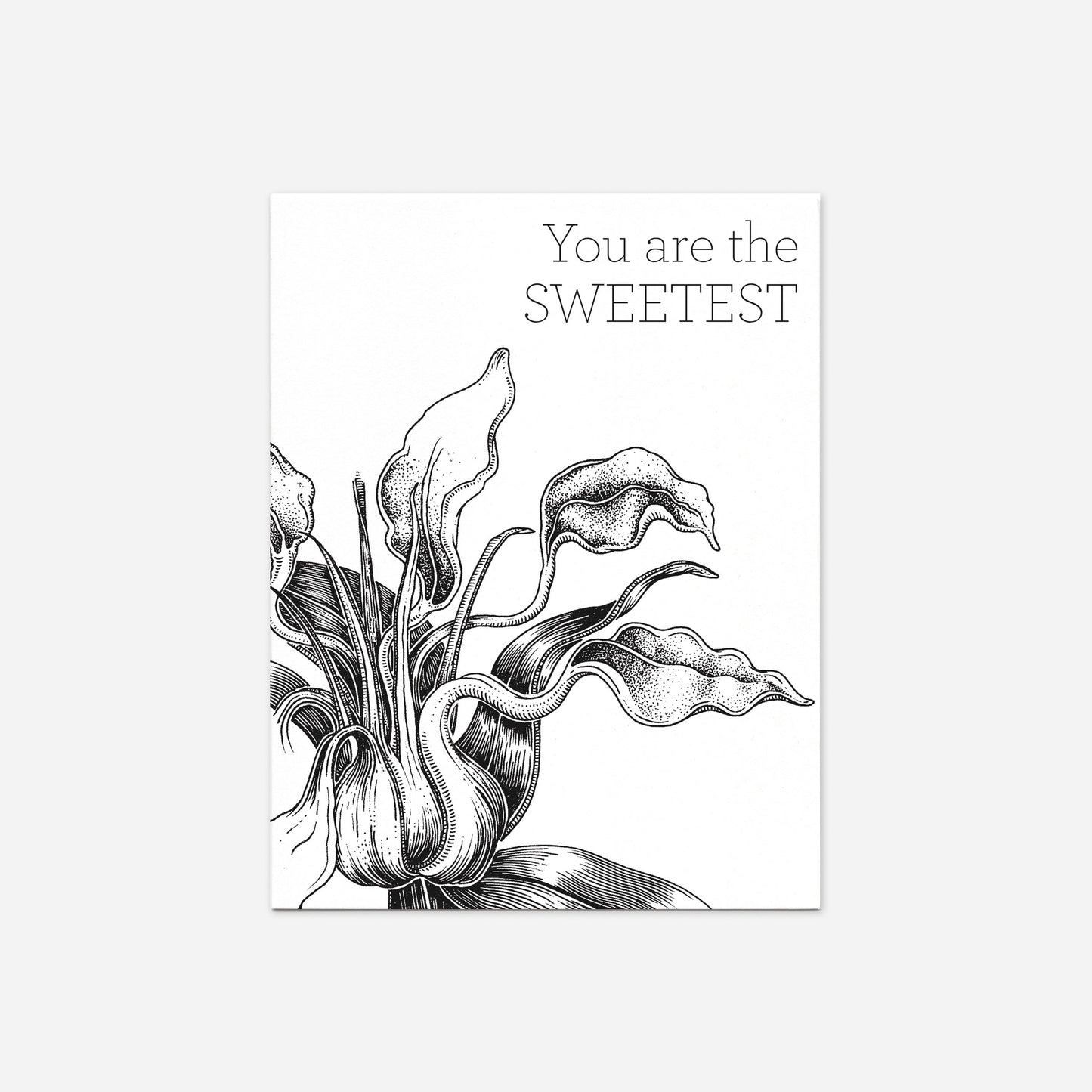 Set of 8 "You Are The Sweetest" Greeting Cards