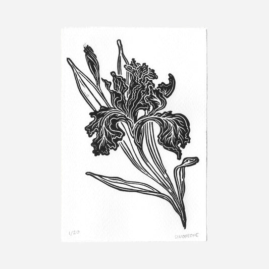 "Iris" Linocut Print
