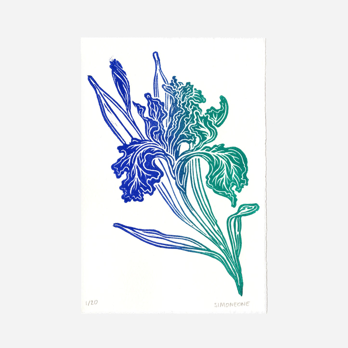 "Iris" Linocut Print