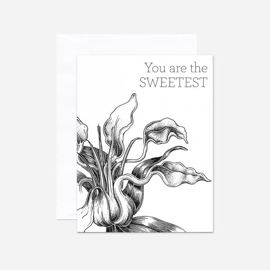 You Are The Sweetest
